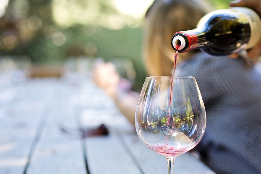 Robberg Beach Lodge Activities Lion Roars Food Image Holder Copy 4